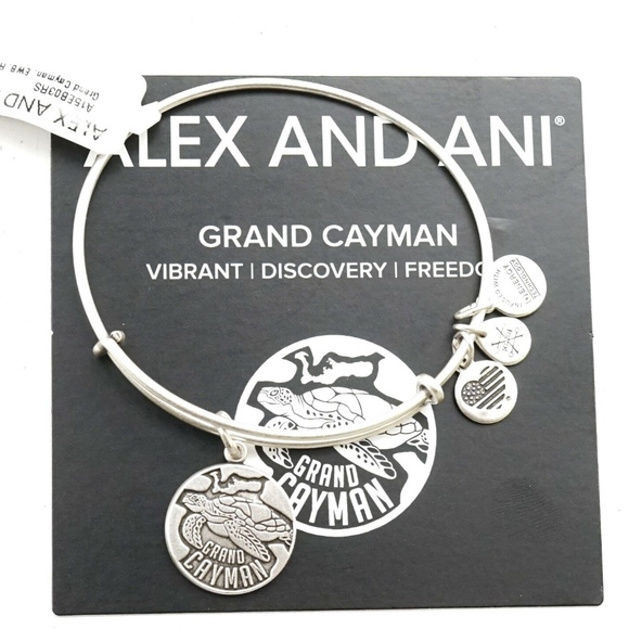 Alex and Ani Grand Cayman Charm Bangle - Picture 2 of 2